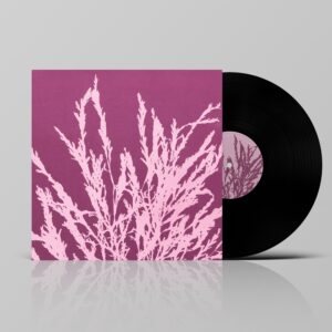 Vinil "Es desastre" - Amulet